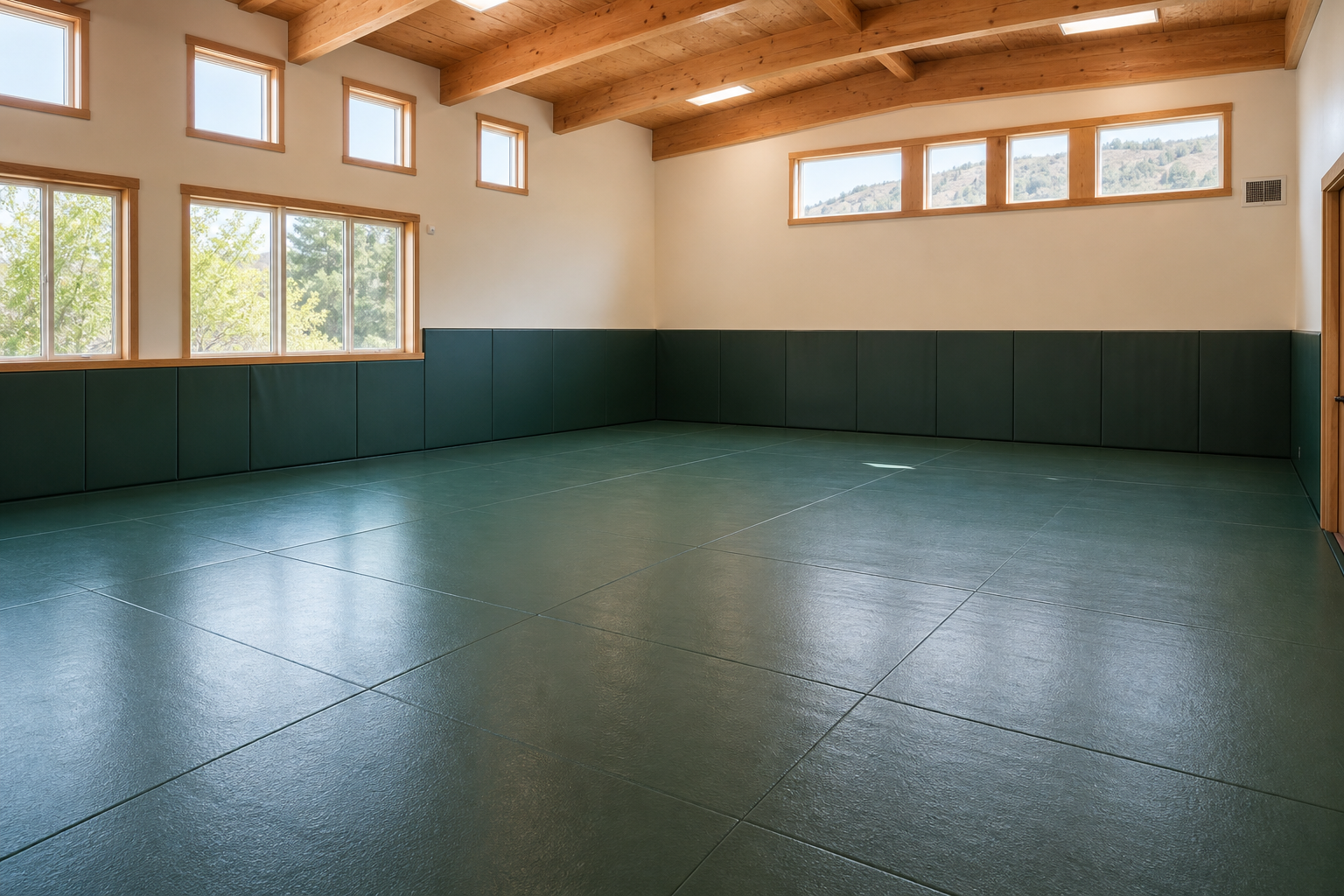 Mat / Activity Room at Skyline Community Center